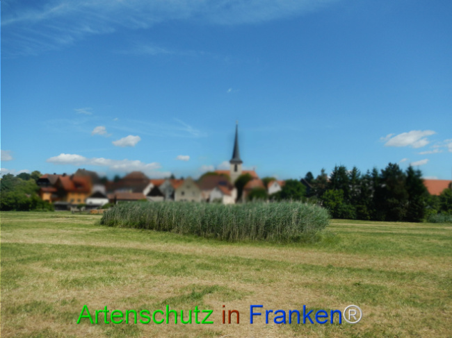 Bild zum Eintrag (1124064-160)