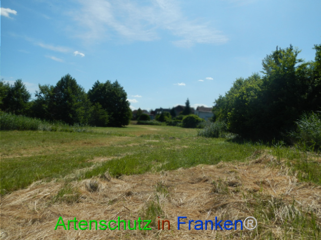 Bild zum Eintrag (1124065-160)