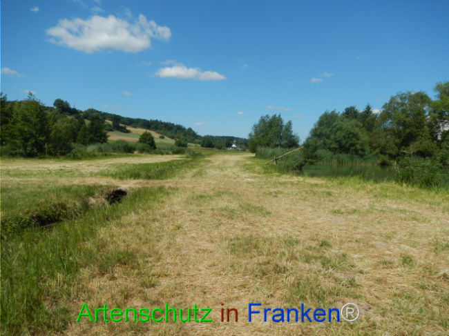 Bild zum Eintrag (1124068-160)