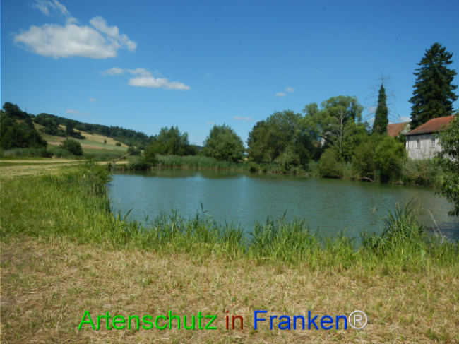 Bild zum Eintrag (1124070-160)