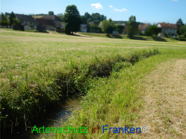 Bild zum Eintrag (1124071-160)