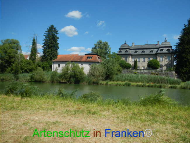Bild zum Eintrag (1124073-160)