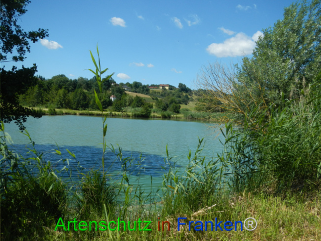 Bild zum Eintrag (1124075-160)