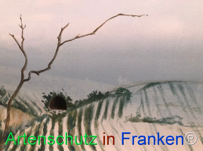 Bild zum Eintrag (1124188-160)