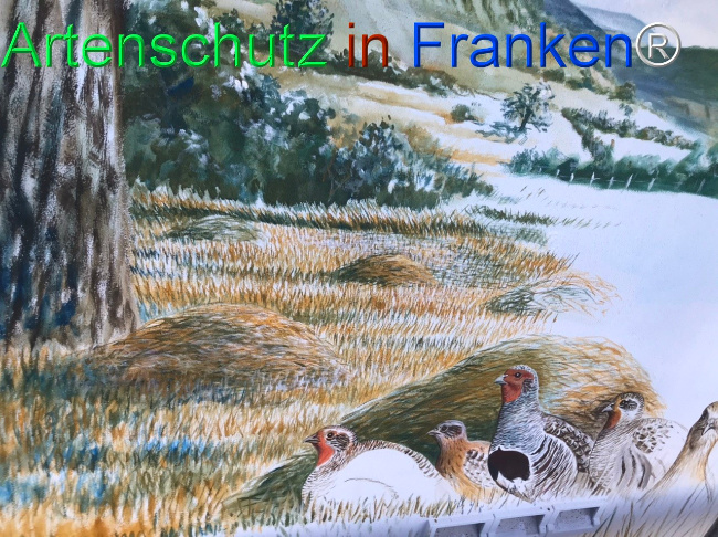 Bild zum Eintrag (1124190-160)