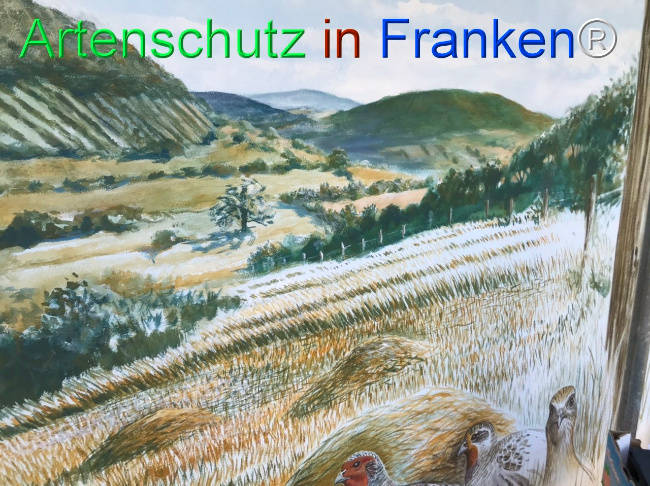 Bild zum Eintrag (1124275-160)
