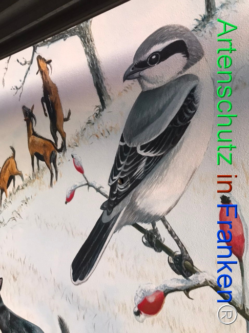 Bild zum Eintrag (1124277-160)