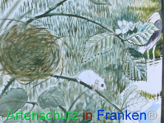 Bild zum Eintrag (1124278-160)