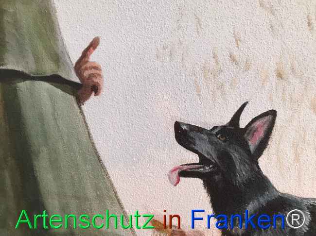 Bild zum Eintrag (1124279-160)