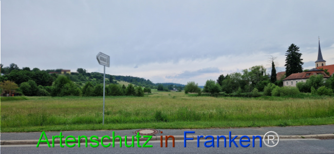 Bild zum Eintrag (1124360-160)