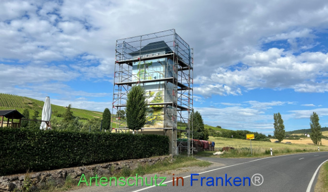 Bild zum Eintrag (1124506-160)
