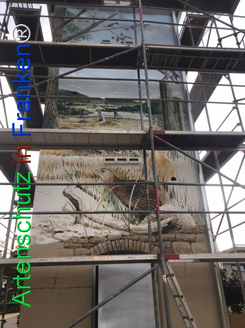 Bild zum Eintrag (1124508-160)