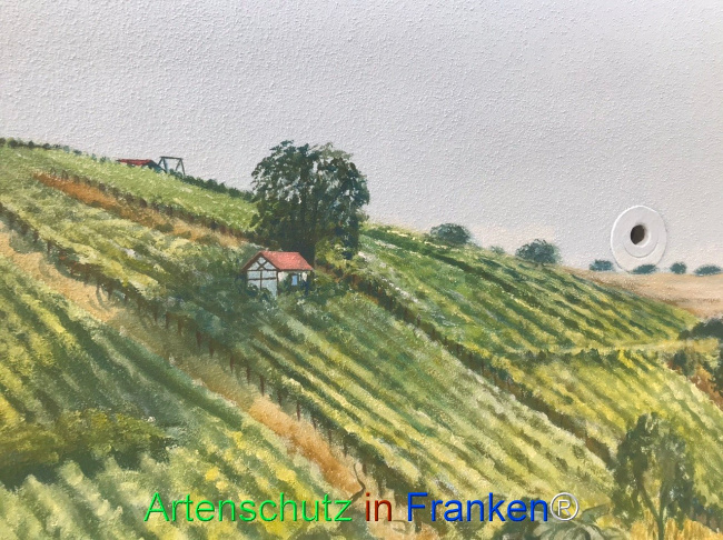 Bild zum Eintrag (1124509-160)