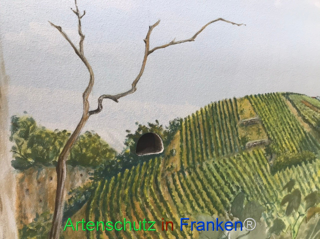 Bild zum Eintrag (1124513-160)