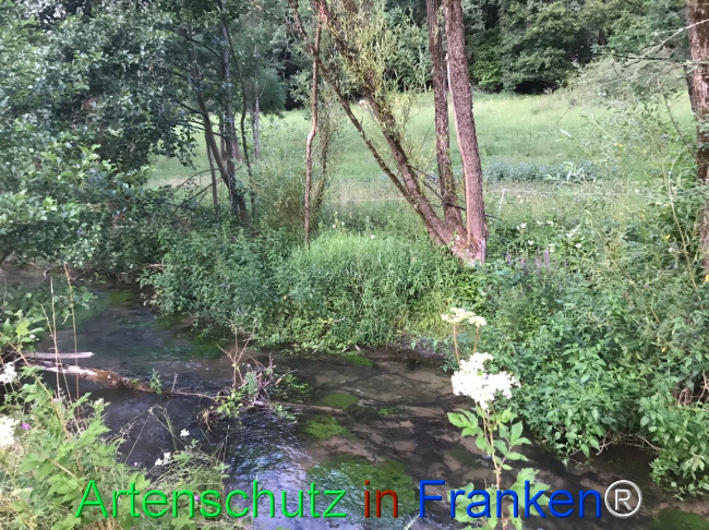 Bild zum Eintrag (1124650-160)