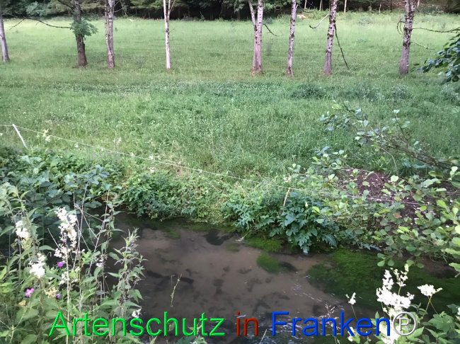 Bild zum Eintrag (1124653-160)