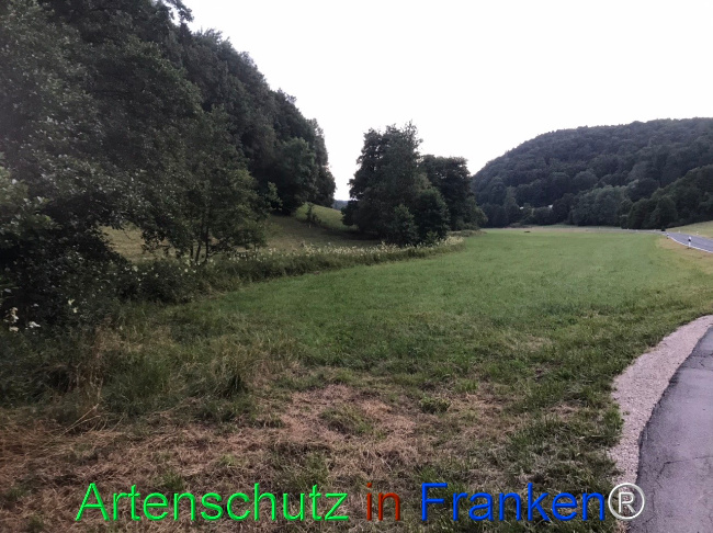 Bild zum Eintrag (1124657-160)