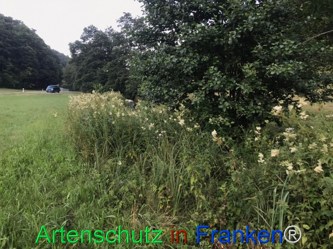 Bild zum Eintrag (1124658-160)