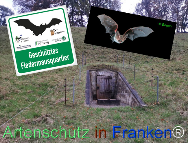 Bild zum Eintrag (1124769-160)