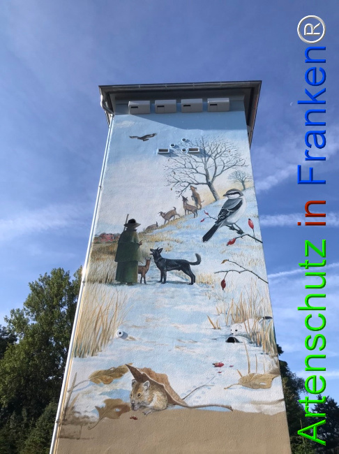 Bild zum Eintrag (1124865-160)