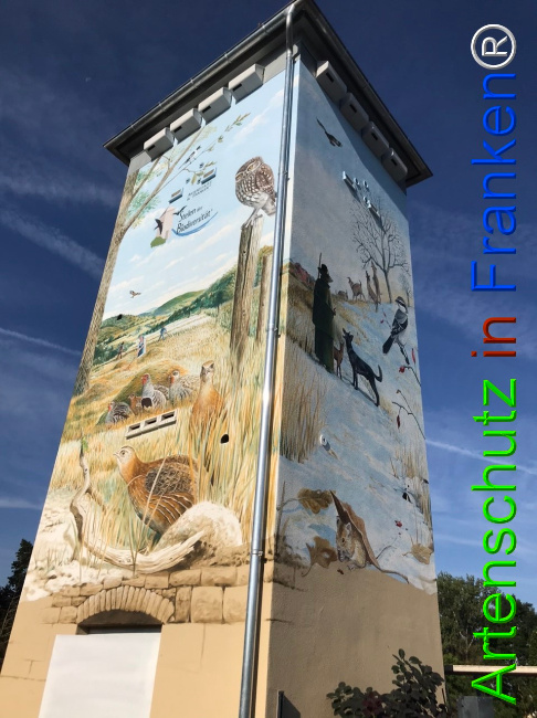 Bild zum Eintrag (1124866-160)