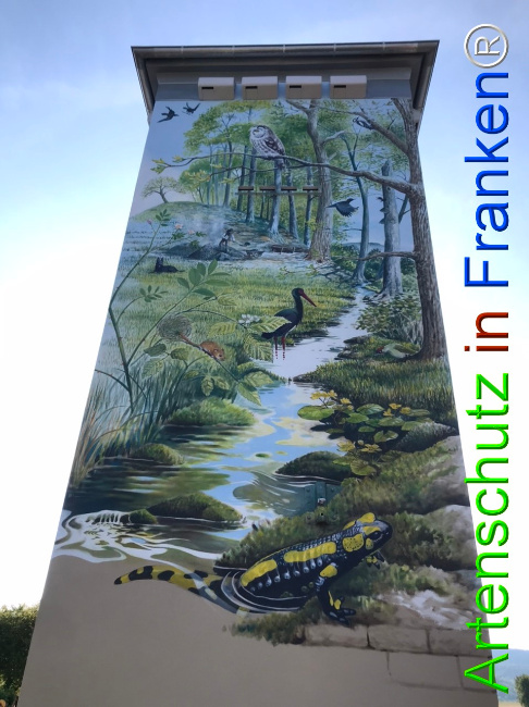 Bild zum Eintrag (1124869-160)