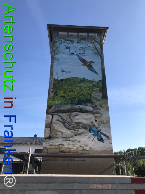 Bild zum Eintrag (1124870-160)