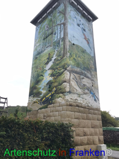 Bild zum Eintrag (1125001-160)