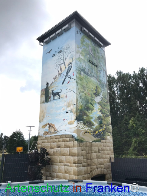 Bild zum Eintrag (1125002-160)
