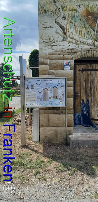 Bild zum Eintrag (1125100-160)