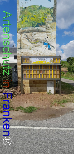 Bild zum Eintrag (1125101-160)