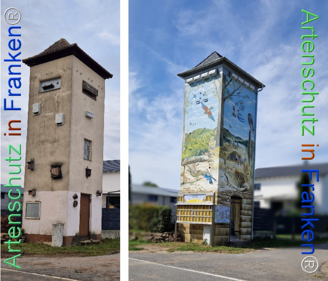 Bild zum Eintrag (1125289-160)