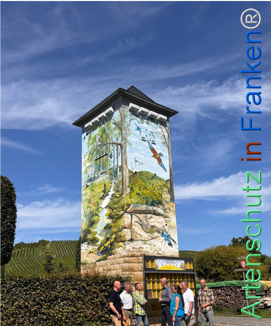 Bild zum Eintrag (1125623-160)