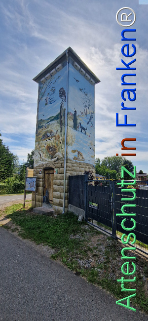Bild zum Eintrag (1125624-160)