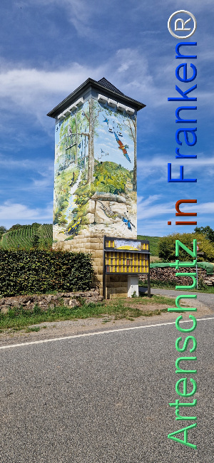 Bild zum Eintrag (1125625-160)
