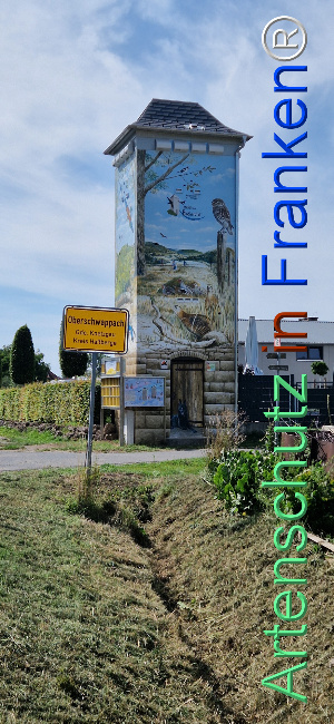 Bild zum Eintrag (1125626-160)
