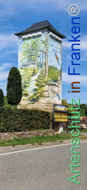 Bild zum Eintrag (1125627-160)