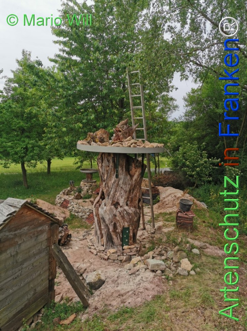 Bild zum Eintrag (1125785-160)