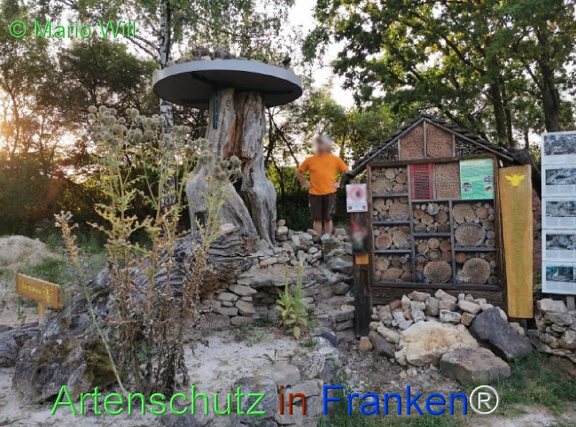 Bild zum Eintrag (1125786-160)