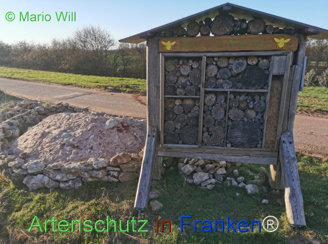 Bild zum Eintrag (1125787-160)