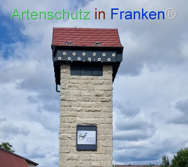 © Artenschutz in Franken® Bild zum Eintrag (1125918-160)