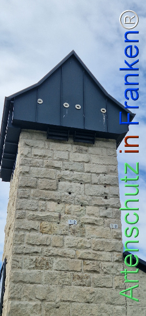 © Artenschutz in Franken® Bild zum Eintrag (1125924-160)