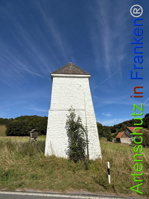 Bild zum Eintrag (1126802-160)