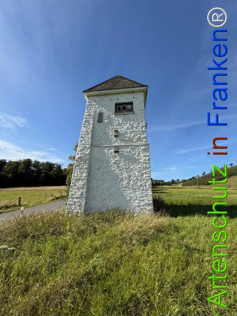 Bild zum Eintrag (1126806-160)