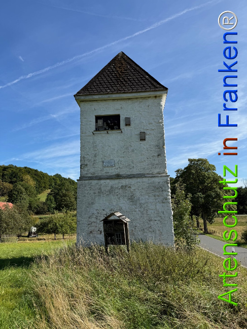 Bild zum Eintrag (1126807-160)