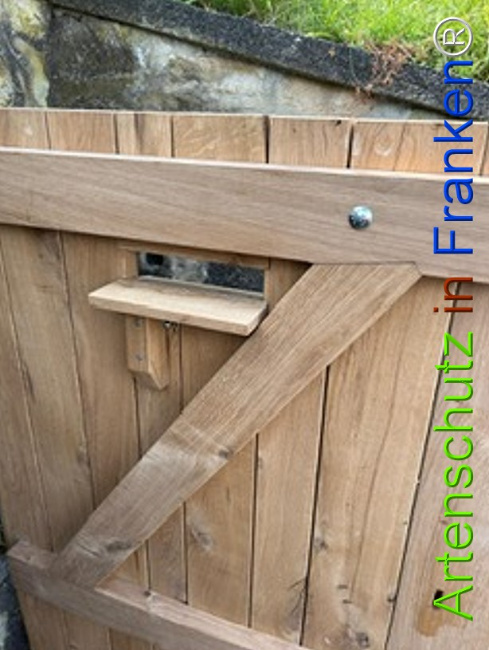 Bild zum Eintrag (1127066-160)