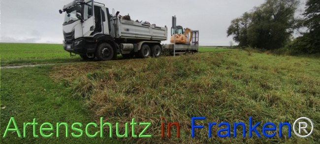 Bild zum Eintrag (1127106-160)