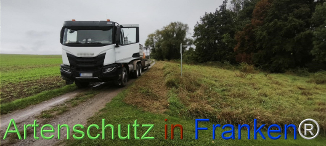 Bild zum Eintrag (1127108-160)