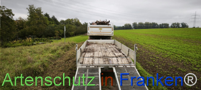 Bild zum Eintrag (1127109-160)