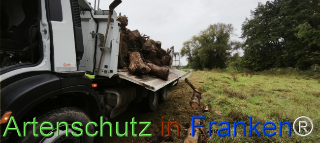 Bild zum Eintrag (1127115-160)